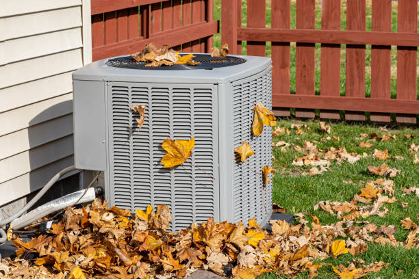 Best Local HVAC Companies  in Cumings, TX